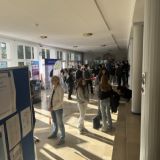 Mittel (IMG_6320).jpeg