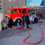 Mittel (ef485e62-ea46-40b4-807a-ddb2b18707ff).jpeg