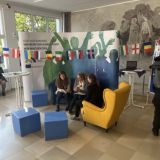 Mittel (IMG_6322).jpeg