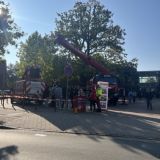 Mittel (IMG_6329).jpeg