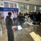 Mittel (IMG_6321).jpeg