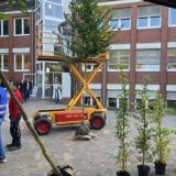 Mittel (IMG_6326).jpeg