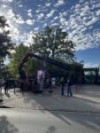 Mittel (IMG_1821).jpeg