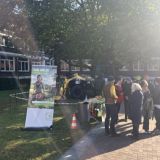 Mittel (IMG_6324).jpeg