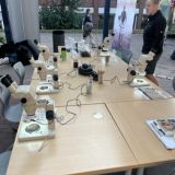 Mittel (IMG_6327).jpeg