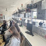 Mittel (IMG_6339).jpeg