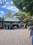 Mittel (IMG_1816).jpeg